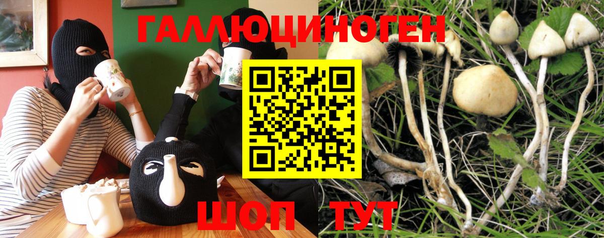 Красногорск  Галлюциногенные грибы Cubensis  Вход с VPN 