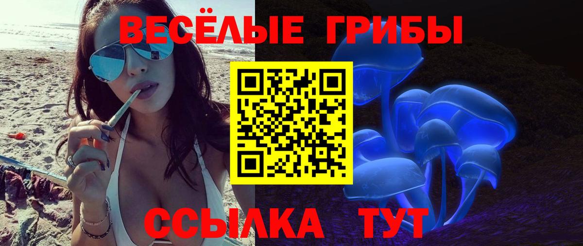 Галлюциногенные грибы Magic Shrooms Красногорск
